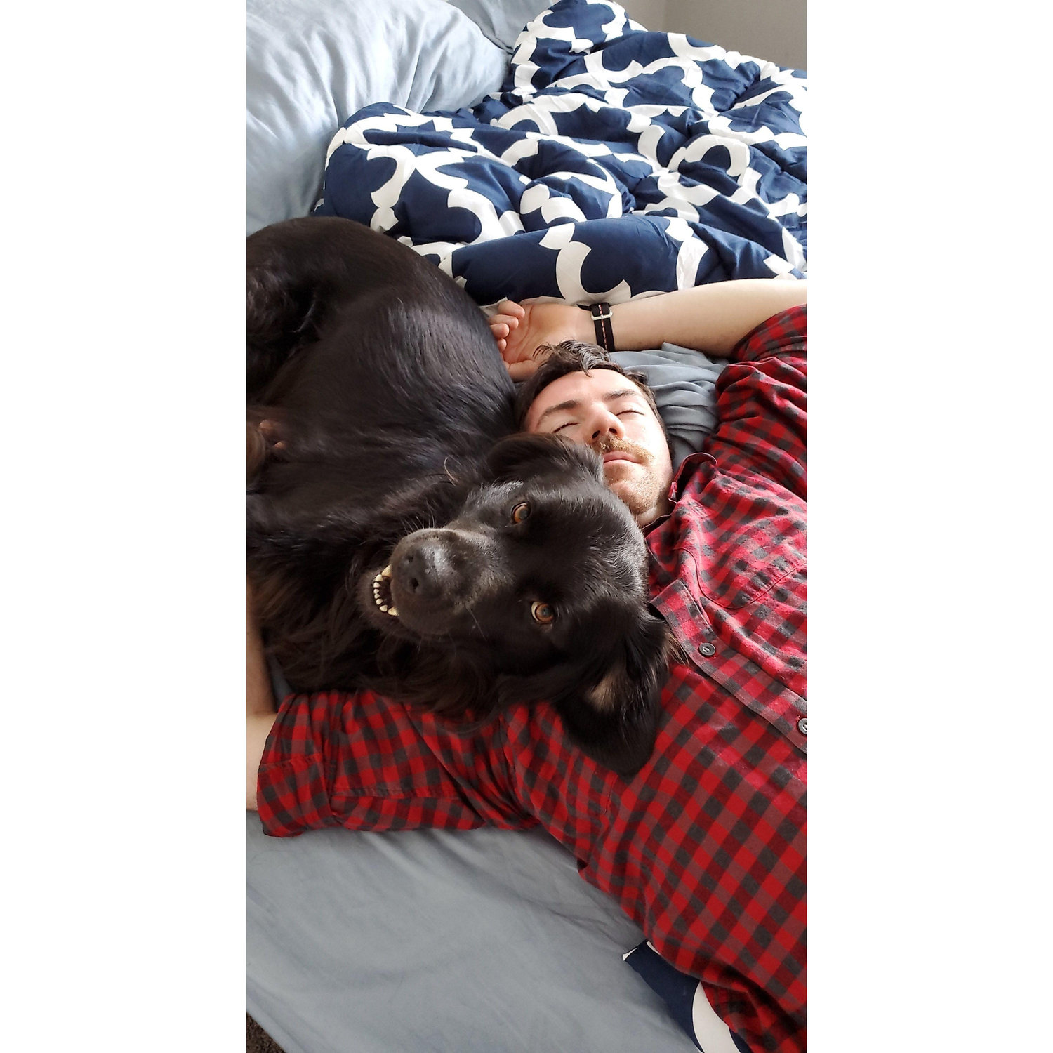 Ryan and Sirius