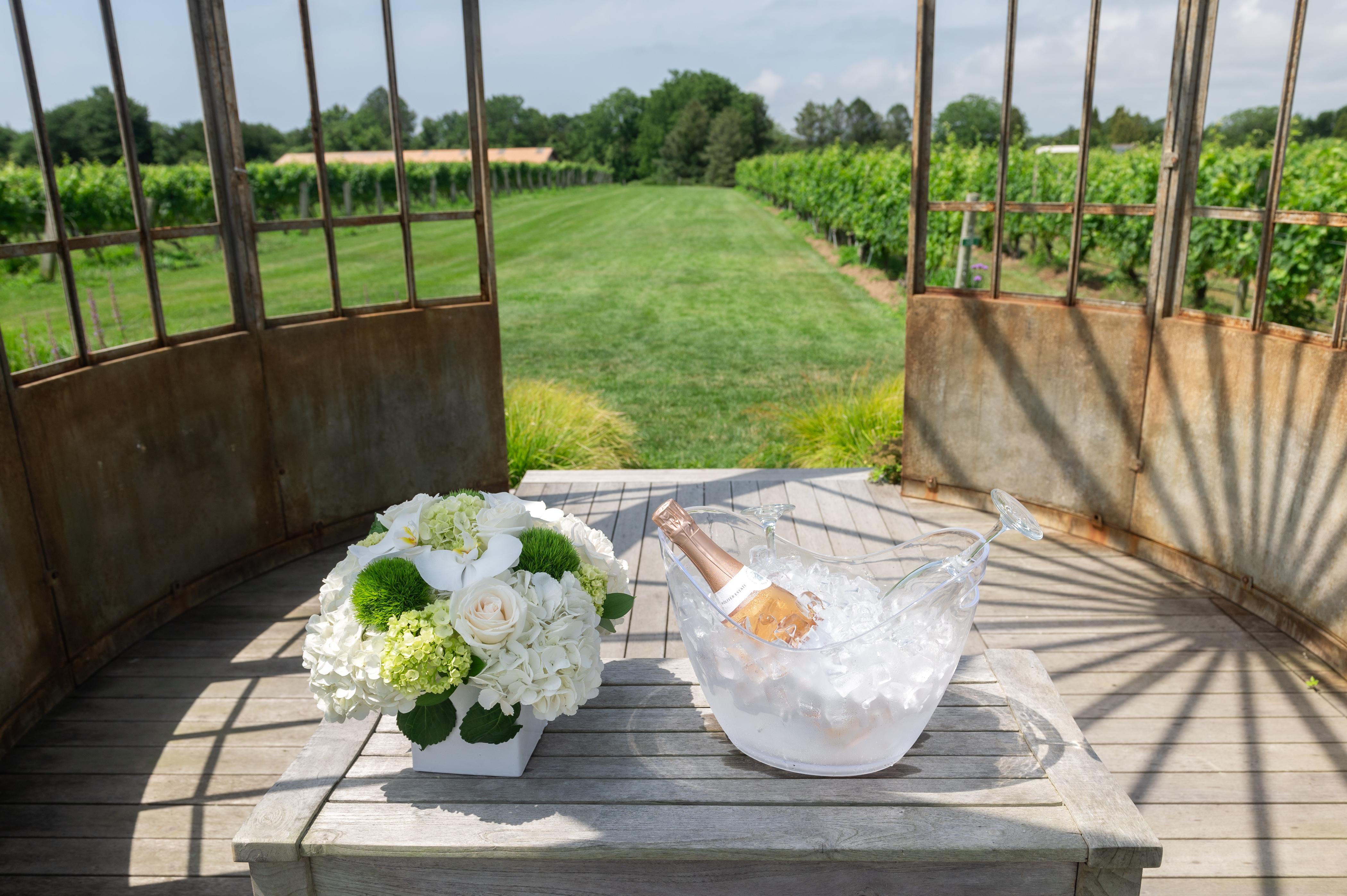 The Wedding Website of Lauren Freidhof and Santi Lara