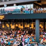 Sycamore Brewing