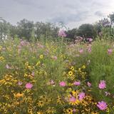 Washington Park