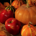Fall Farms and Treats