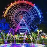 The Wheel at ICON Park™
