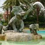 Audubon Zoo