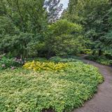 The Morton Arboretum