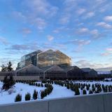 Frederik Meijer Gardens & Sculpture Park