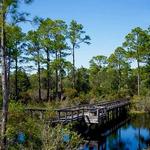 Big Lagoon State Park