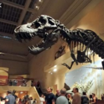 Smithsonian National Museum of Natural History