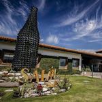 Freixenet México
