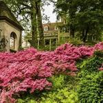 Winterthur Museum, Garden & Library