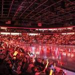 Coachella Valley Firebirds Hockey