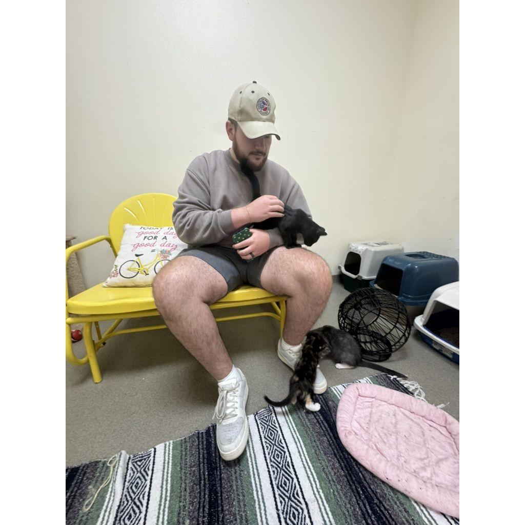 she's convinced she'll be able to have 4 cats (and he'll let her)
