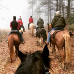 Horseback Riding