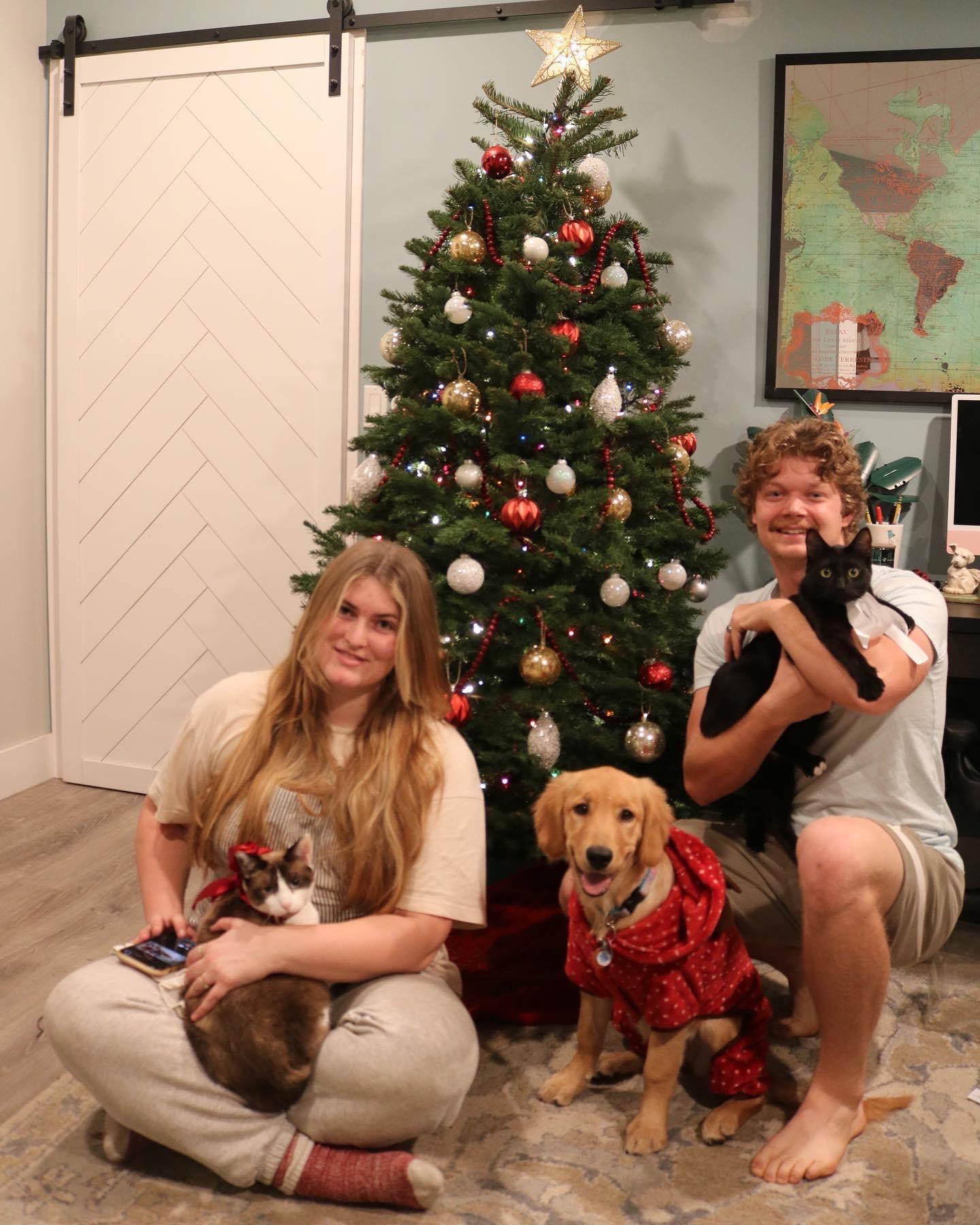 Our first Christmas tree! (We’ll have to keep building up those ornaments!)