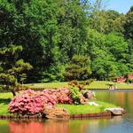Memphis Botanic Garden