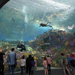 Seattle Aquarium