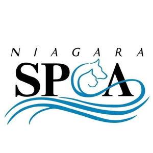 Donations to Niagara SPCA
