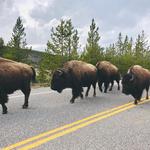 Explore outside of Boise! (4-6 hour drive)