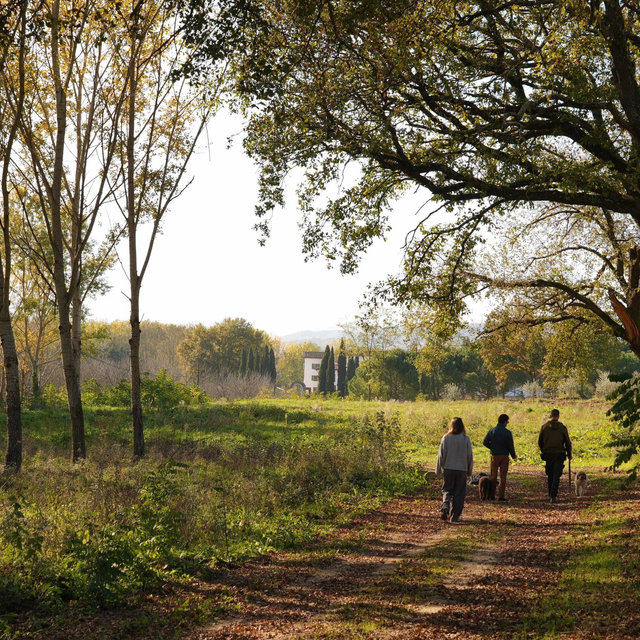Truffle Hunting in Tuscany