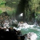 Sea Lion Caves