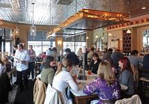 Stella's