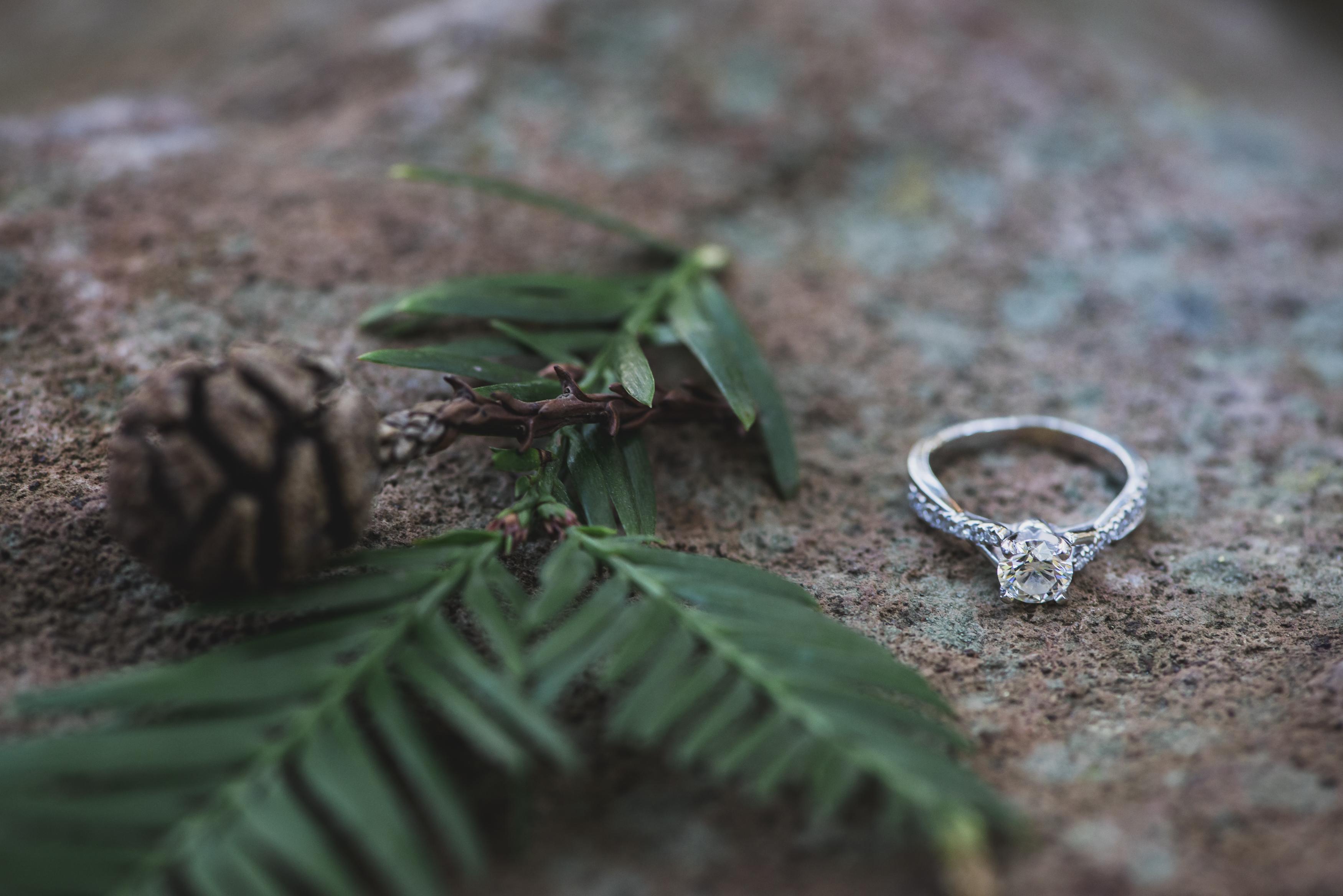 The Wedding Website of Rachael Anders and Domenic Rubinato
