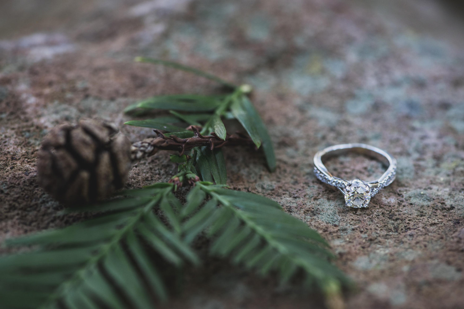 The Wedding Website of Rachael Anders and Domenic Rubinato