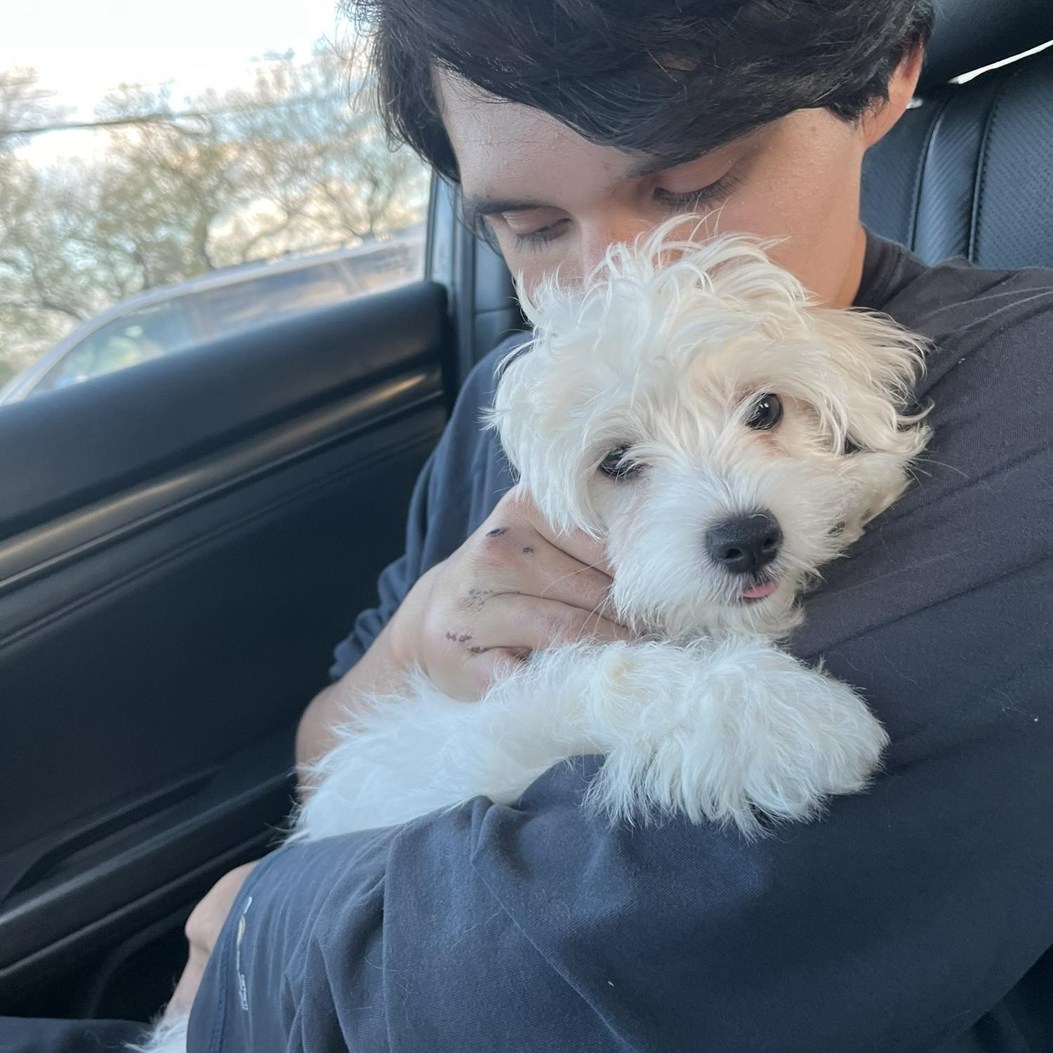 Polar joined our family!
December 1st, 2023