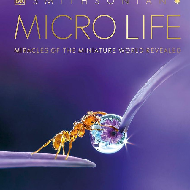 Micro Life: Miracles of the Miniature World Revealed (DK Secret World Encyclopedias) (Packaging may vary)