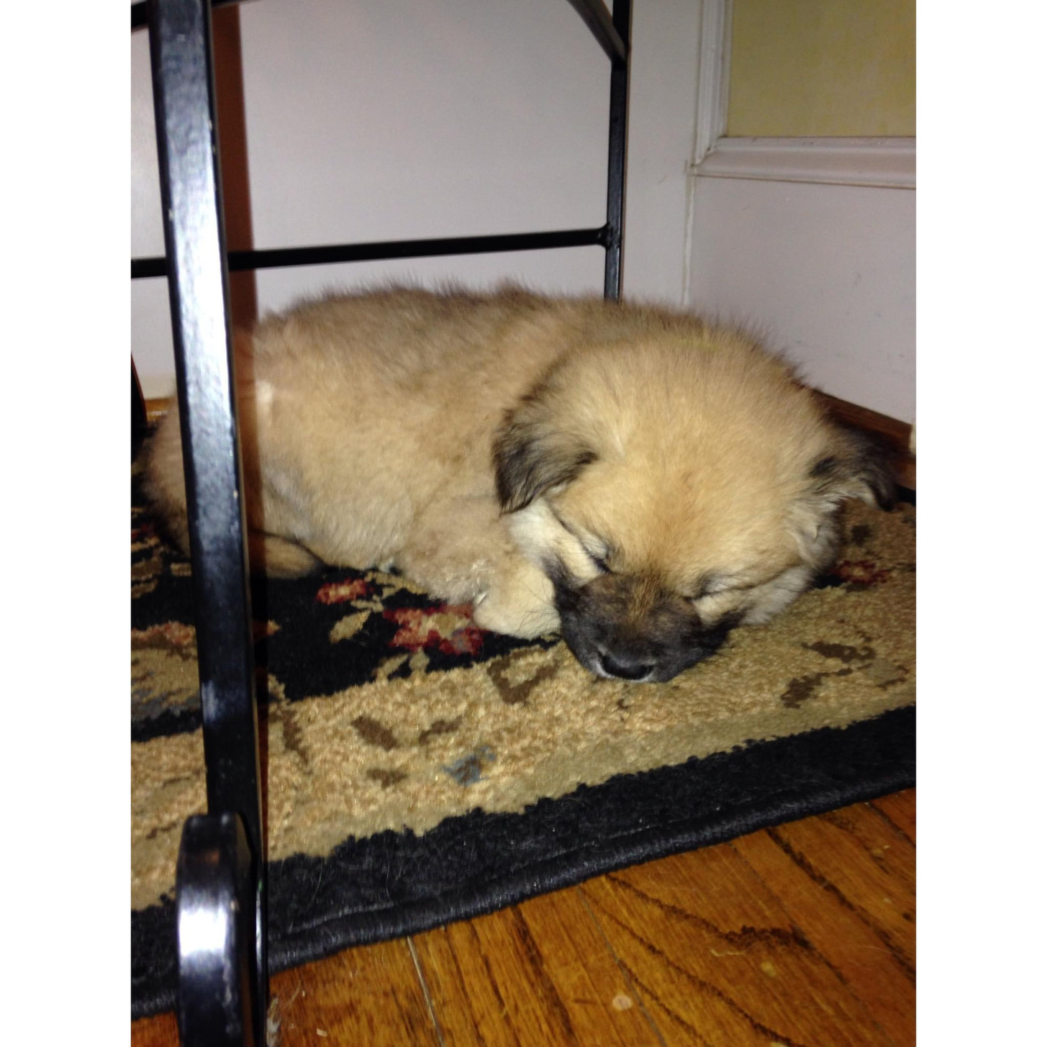 Winston <3
