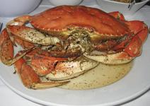 Crustacean