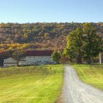 Frederick Wine Trail