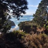 Russian Gulch State Park