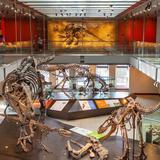 Natural History Museum of Los Angeles County