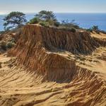 Torrey Pines State Natural Reserve