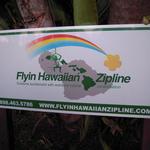 Flyin Hawaiian Zipline