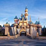 Disneyland Theme Park
