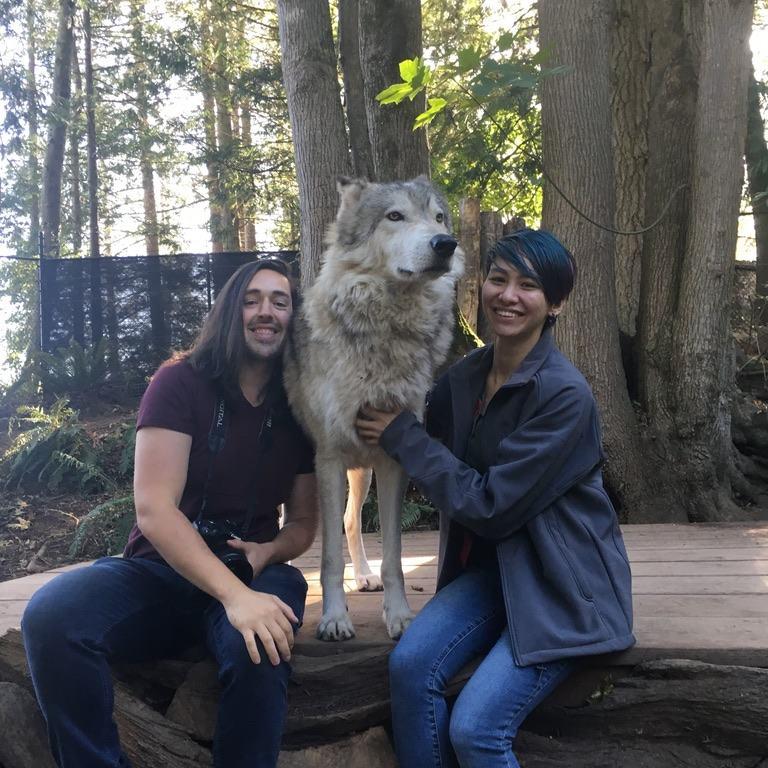 Meeting wolves for Daniel's birthday