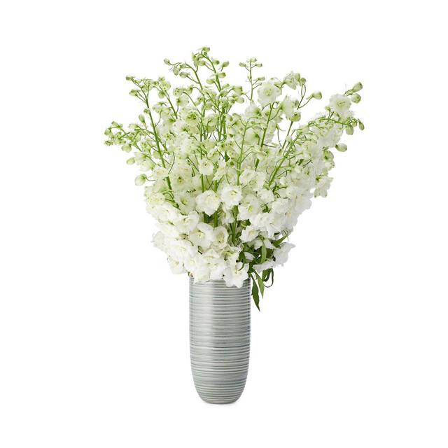 AERIN Calinda Tall Vase
