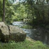 Hibernia County Park