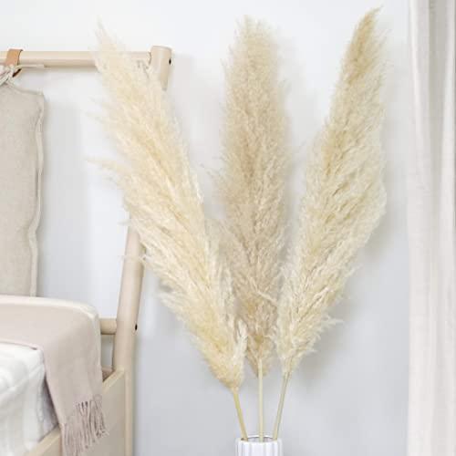 Tall Stemmed Premium Natural Dried Pampas Grass Decor 3 Stems (48'' Tall) from Winding Trail Supply - Faux Pampas Grass Large Size for Wedding Arrangements or Boho Flower Decor (Beige)