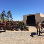 Rancho Los Bandidos