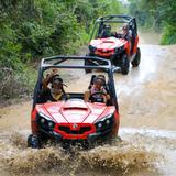 Jungle Buggy Tour
