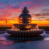 Pineapple Fountain