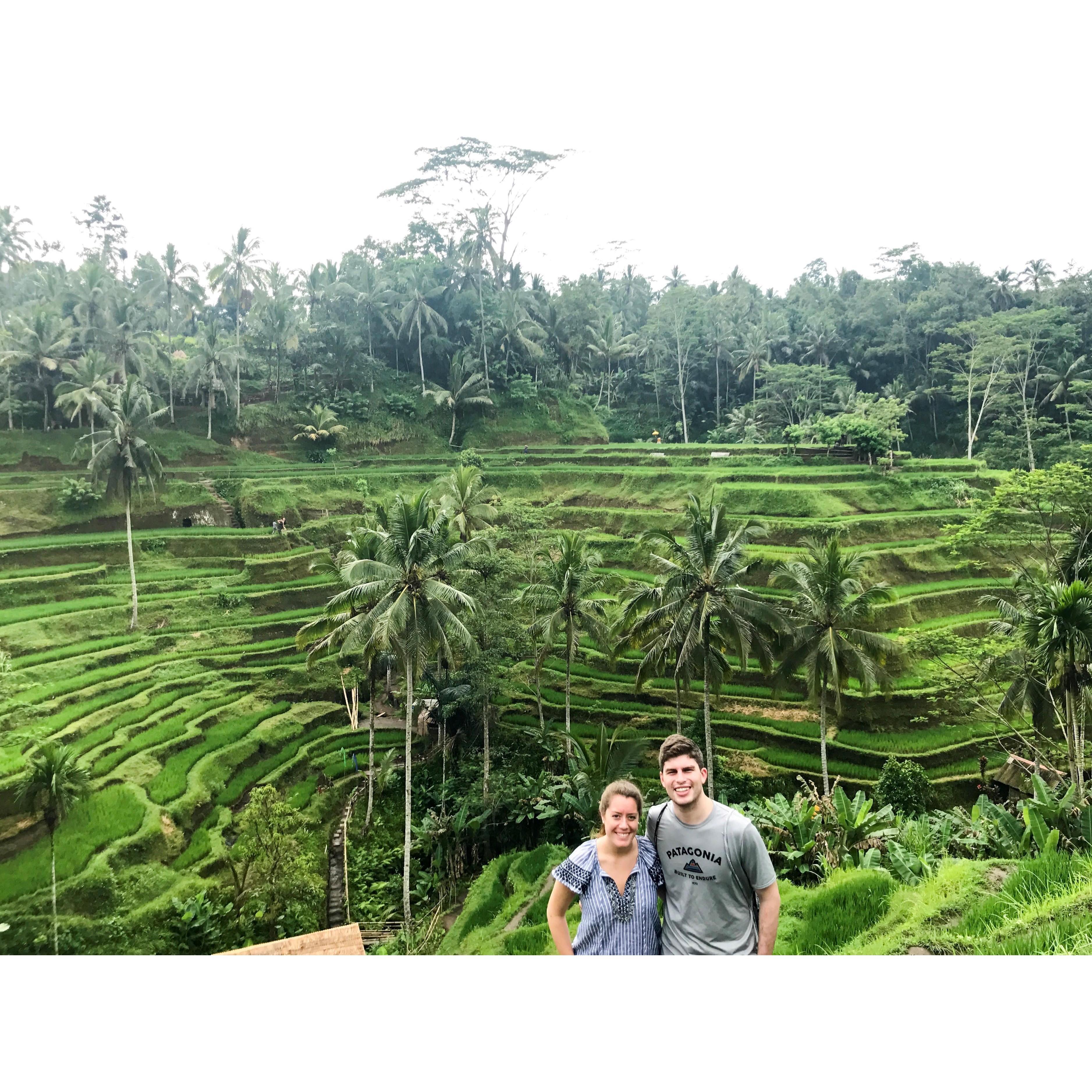 Tegallalang Rice Terrace in Bali, Indonesia