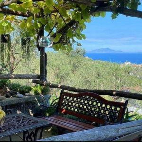 Lemon and olive oil farm tour in Sorrento Italy