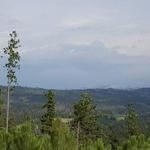 Custer State Park Spur