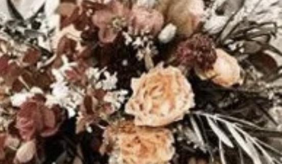 e542a702-88c5-4e98-9b4a-476313031625