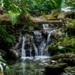 Pinecrest Gardens