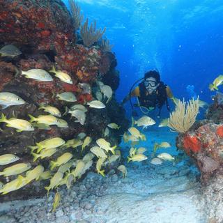 Cancun Underwater Museum for 2