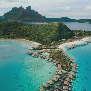 French Poly Honeymoon!